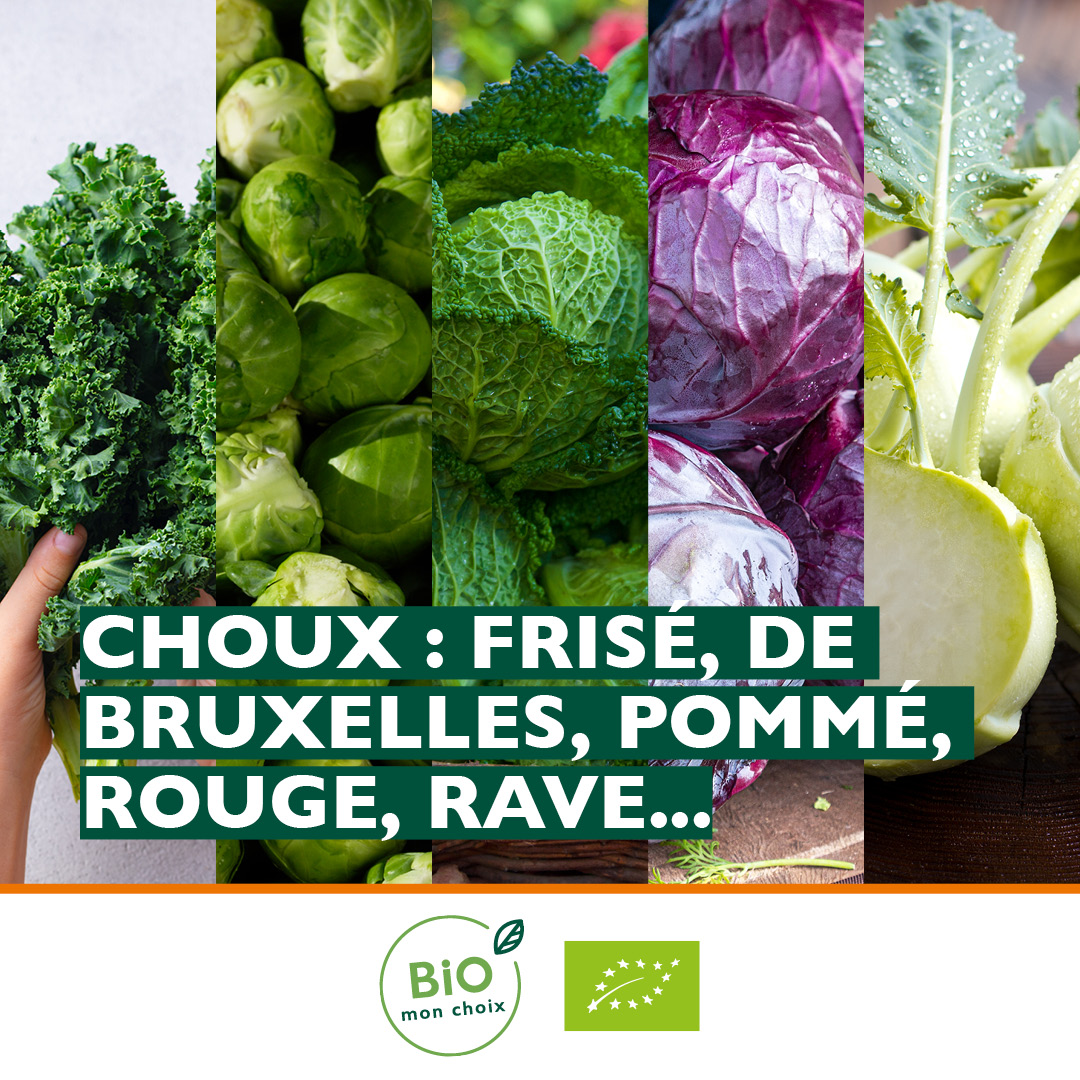 Biomonchoix's tweet photo. Chaque mois, nous vous proposons les #fruits et #légumes #bio de #saison. Voici ceux de décembre!
#biomonchoix #biologique  #alimentation #calendrier https://t.co/xVDIUeYgTG