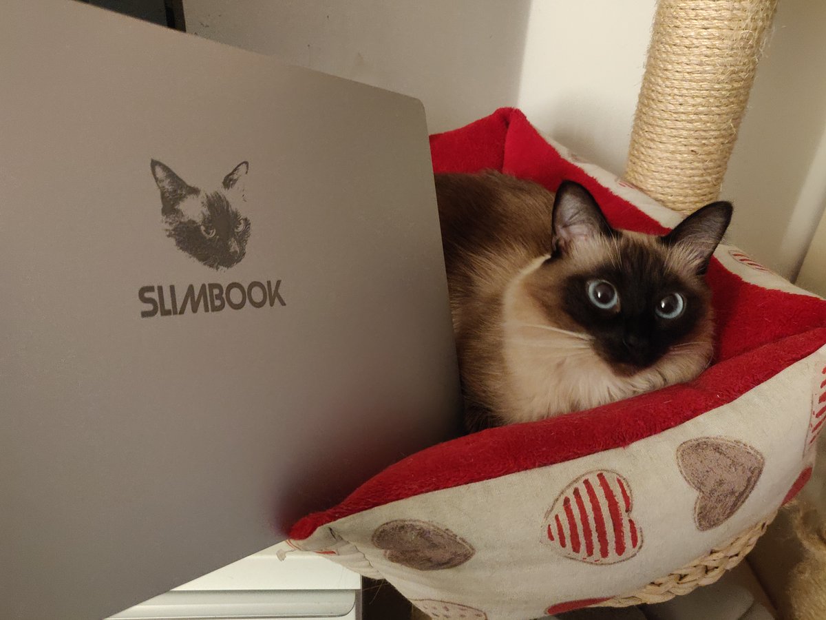 slimbook tweet picture