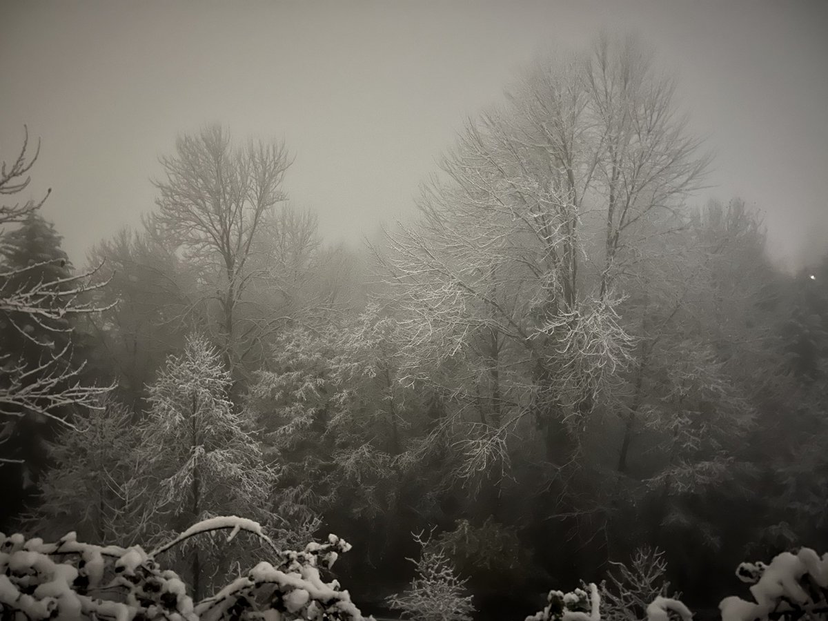 Boeing74's tweet photo. A light snow, freezing fog and a silent night.  This is why I moved to the #pnw   #seattlesnow #seattle #snow #firstfallofsnow https://t.co/BQ2jO0aLeM