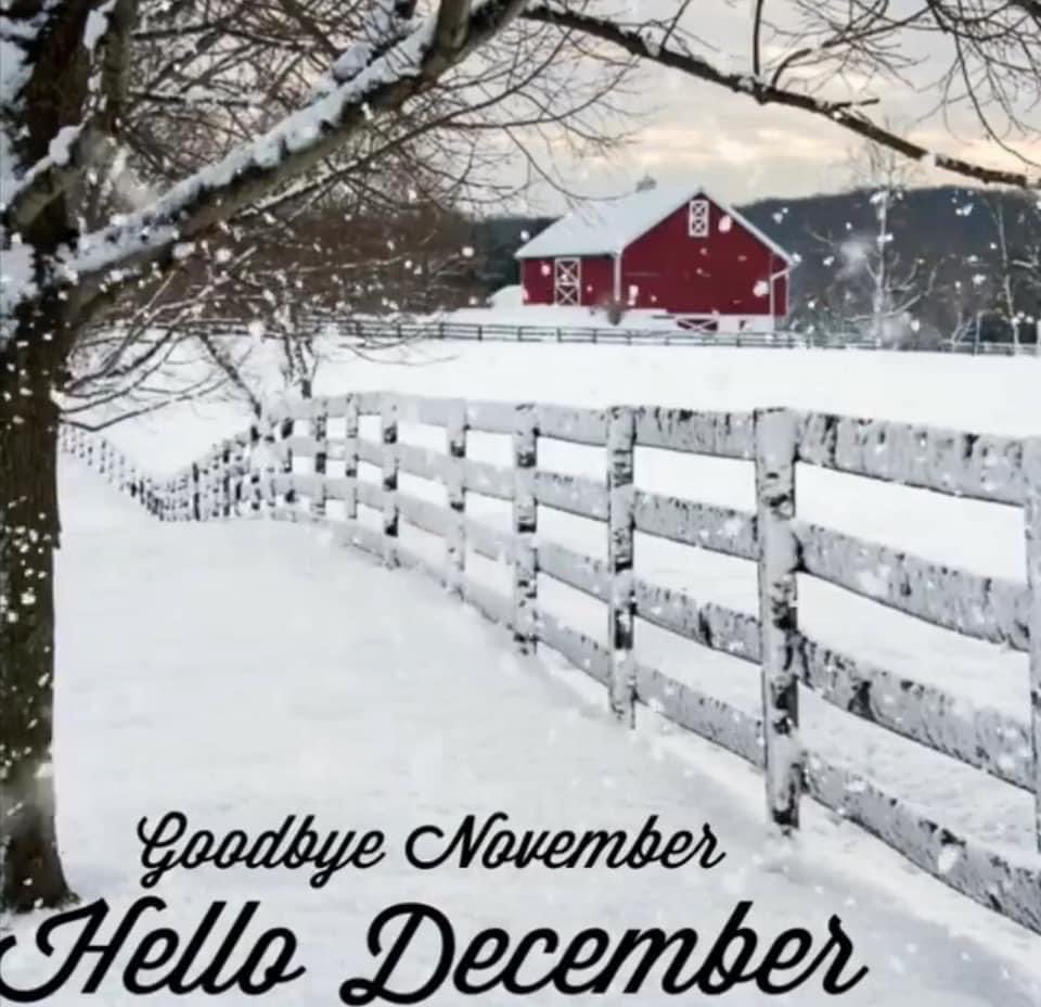 Rita K. Foil (@ritafoil) on Twitter photo 