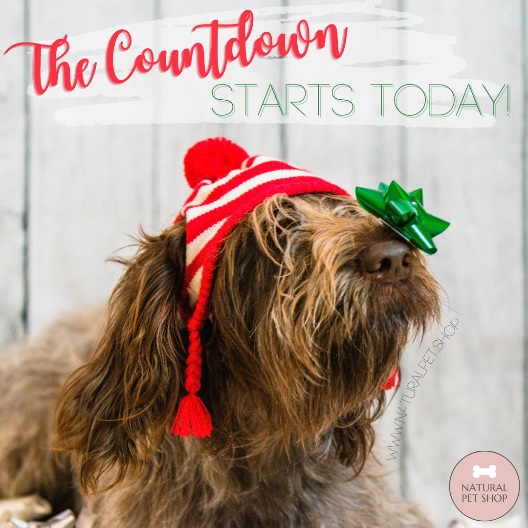 NaturalPet_Shop's tweet photo. It's time!! Who else is excited?!๐
#naturalpetshop #xmas #christmas #festive #smallbusinessโ
#doglife #kitten #happydog #kitty #dogoftheday #pet #dogs #doglover #doglovers #dogmum #catmum #doggo #pets #cat #cats #puppy #ilovemydog #petsuk https://t.co/xlkFu6SxR0