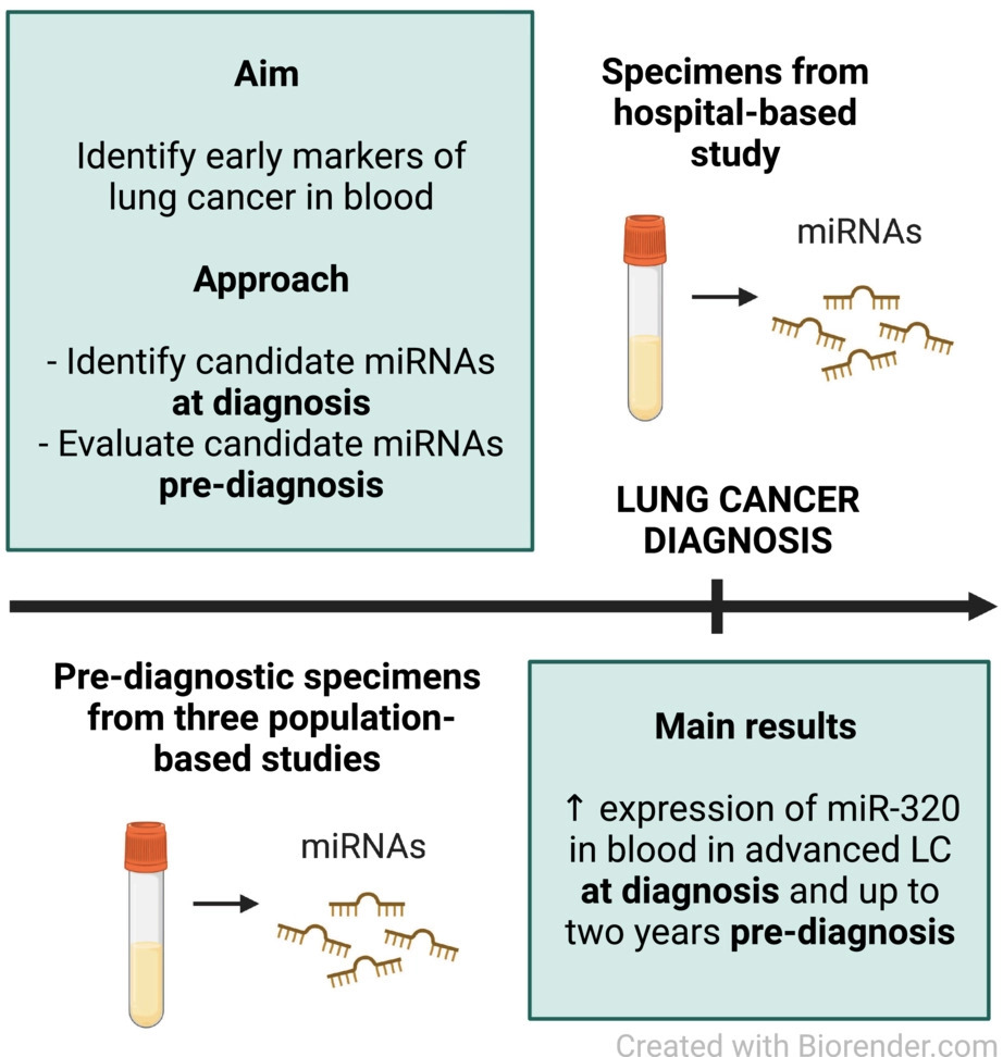 Molecular Oncology tweet media