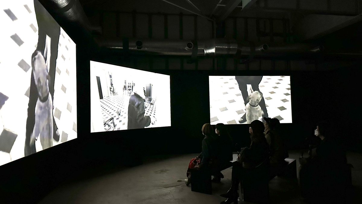 123Oneplus's tweet image. During our trip to Tokyo, we had the opportunity to visit BETTY CATROUX, the traveling exhibition of the French fashion brand YVES SAINT LAURENT, where we learned about the brand's legendary history and unique design essence in front of these precious works and images.
#YSL