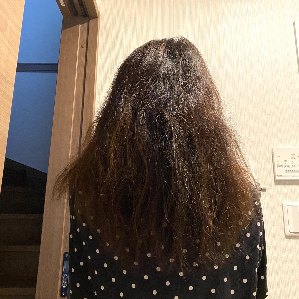 DaqYn7's tweet photo. 花王メリット　ザ　マイルド
泡で出るシャンプーコンディショナー
物珍しさで買ってみた。
めっちゃ泡立つ。
アワアワになるまで洗っちゃうと地肌が乾燥するので、たっぷりの泡で包んで撫でるくらいでも良い。
髪は乾燥します。もともと乾燥してる髪質なので、私には合わなかった。
#シャンプー https://t.co/gfUWvT5ULU