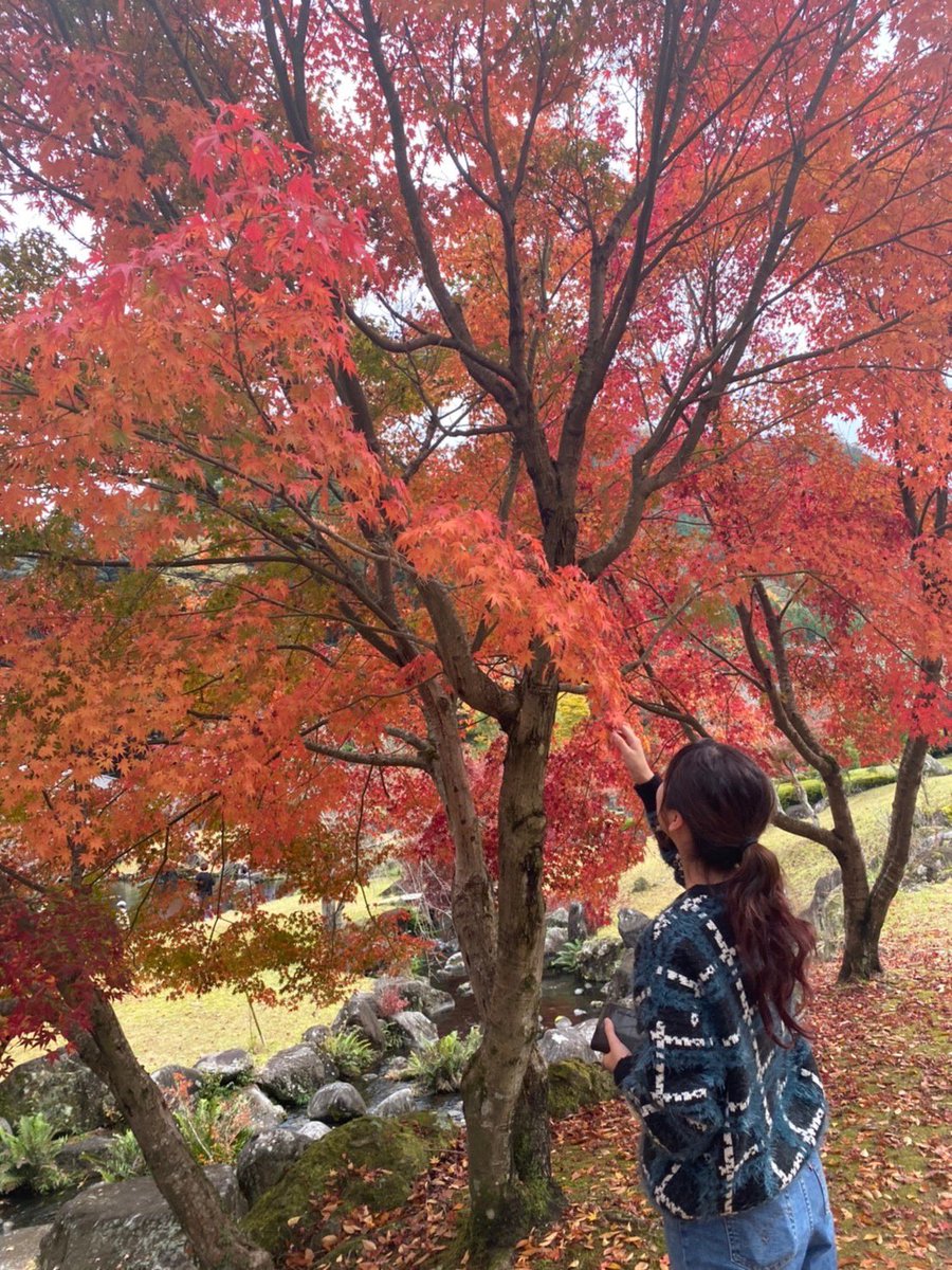 2323ttoommoo's tweet photo. もう12月💦💦 https://t.co/IAI8qm4Kjy