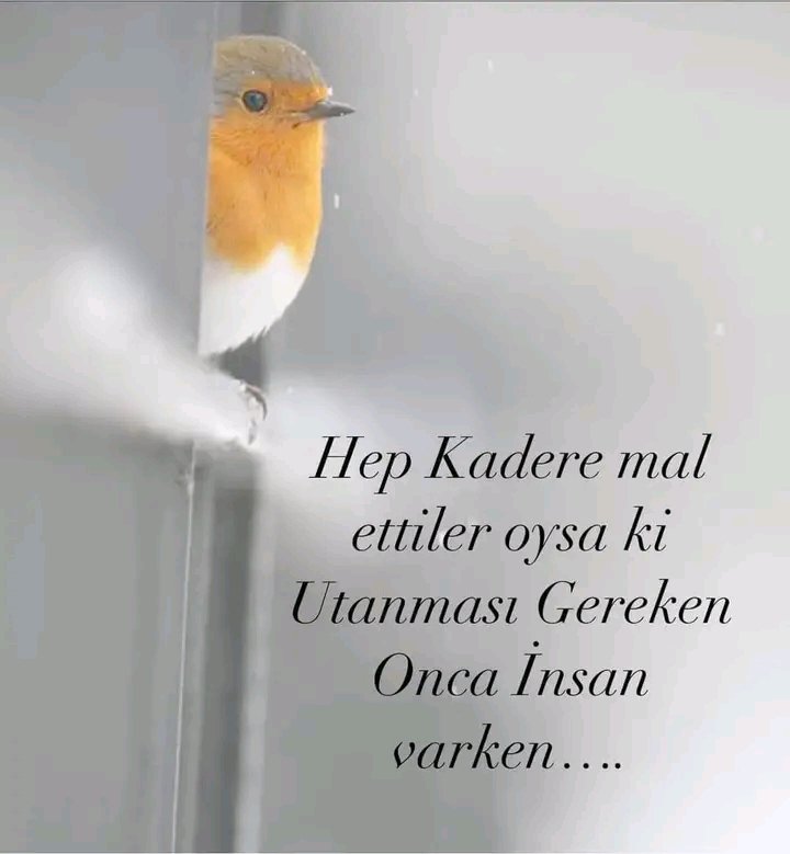 Bulut akdağ (@bulutakdag14) on Twitter photo 