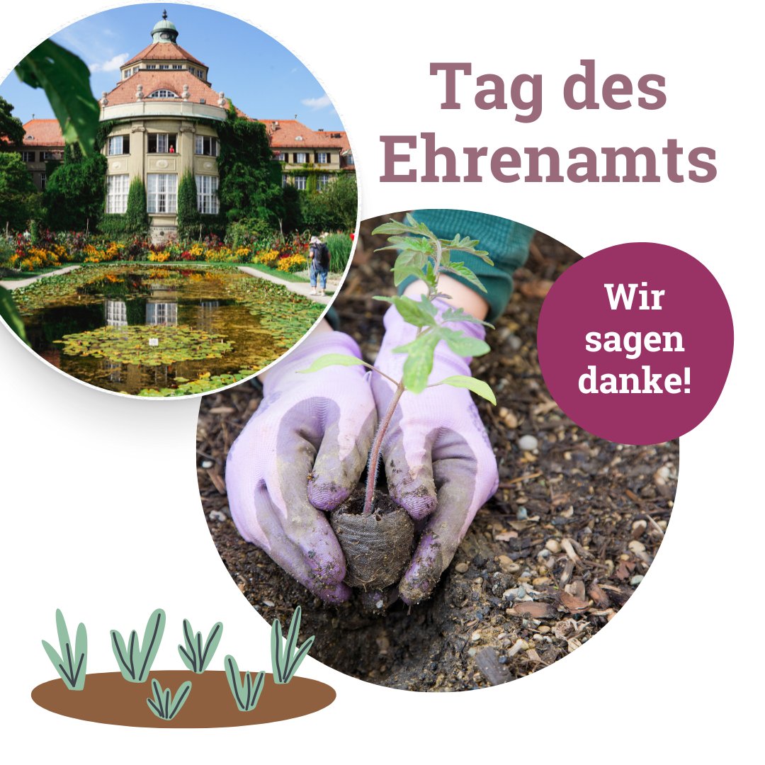 Heute ist Tag des Ehrenamtes.💚Wir wollen uns an diesem Aktionstag zur Anerkennung und Förderung ehrenamtlichen Engagements bei allen bedanken, die uns ehrenamtlich hier am Botanischen Garten unterstützen.🙏