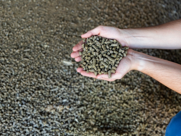 #Projectspotlight

#Agrobiomass has enormous potential to reach 🇪🇺 #EUGreenDeal targets. 

Check this #H2020Energy article to know how EU-funded researchers are helping to create a viable market through supporting pioneering initiatives. 

👉 cordis.europa.eu/article/id/442…