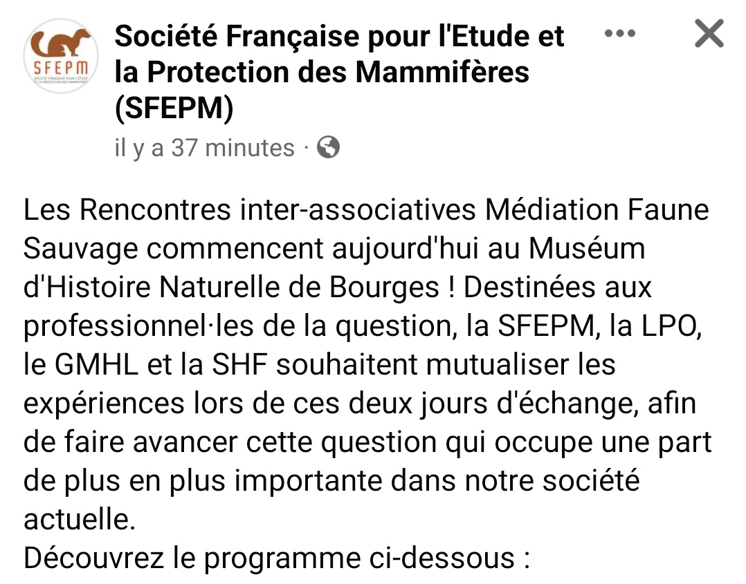 Malineonline's tweet photo. Intéressant pour les professionnels #FauneSauvage #Médiation #SFEPM #LPO #SHF #GMHL à #Bourges #muséum avec notamment @ReseauFaune https://t.co/SXjOeMfcPN