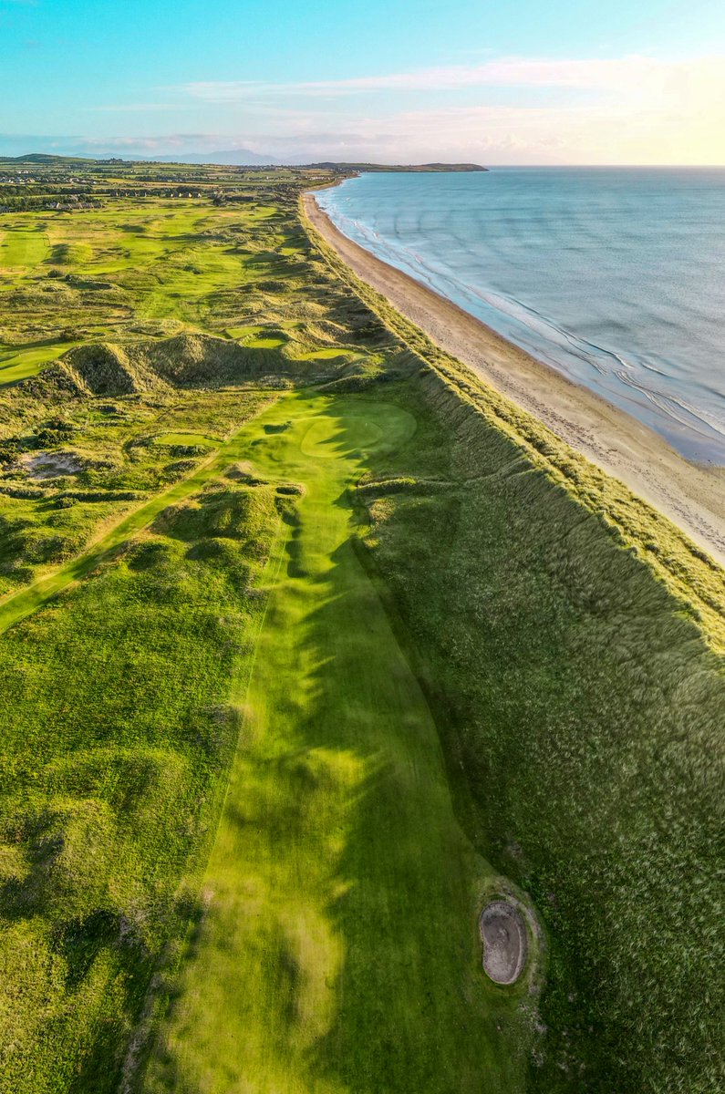 ConorN11's tweet image. 13 @CountyLouthGC