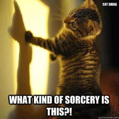 Sylvia Grinham (@sylviagrinham) on Twitter photo 