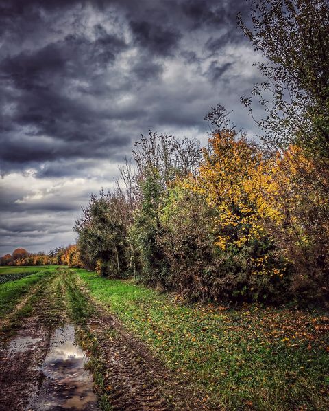 OTDromArdeche's tweet photo. 🍂 C'EST L'AUTOMNE 🍂
🗣️" L'automne est un deuxième ressort où chaque feuille est une fleur. " (Albert Camus) 
🌄Une impression que cette période nous délivre son plus beau visage autour d'Anneyron 
📸Photo : Annick Chantereau 

#nature #PorteDromArdèche #automne https://t.co/2wJXNGoOYm