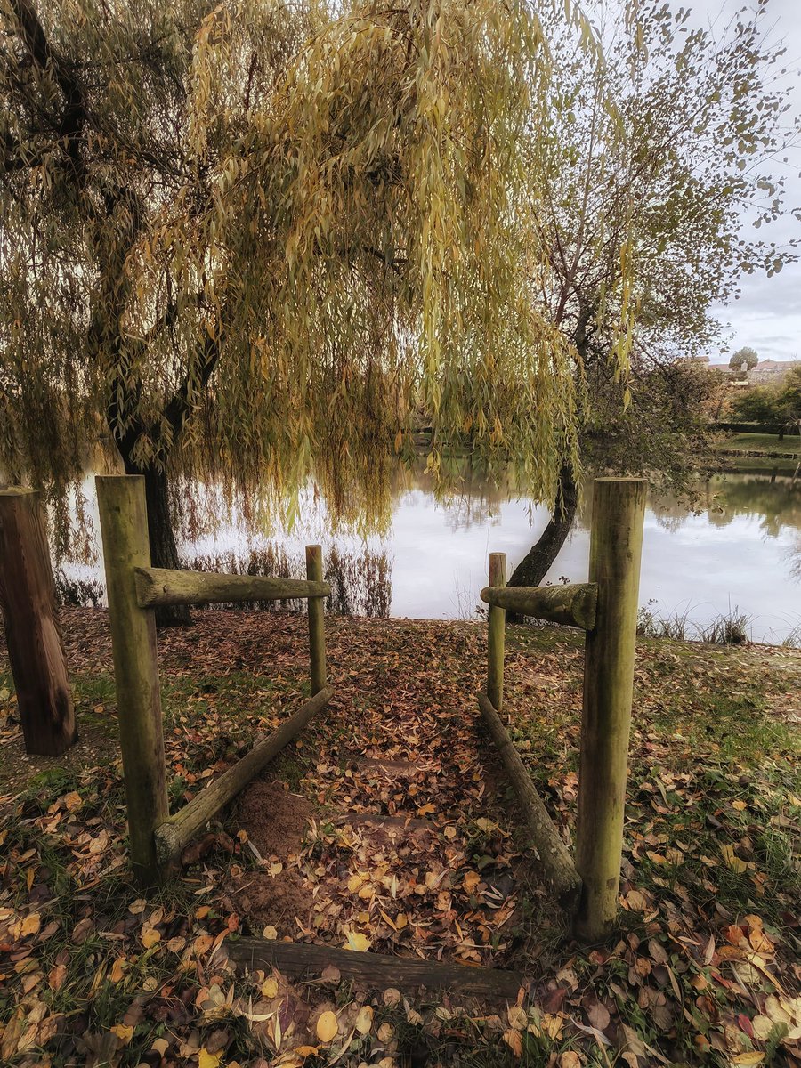 OTDromArdeche's tweet photo. 🍂 C'EST L'AUTOMNE 🍂
🗣️" L'automne est un deuxième ressort où chaque feuille est une fleur. " (Albert Camus) 
🌄Une impression que cette période nous délivre son plus beau visage autour d'Anneyron 
📸Photo : Annick Chantereau 

#nature #PorteDromArdèche #automne https://t.co/2wJXNGoOYm