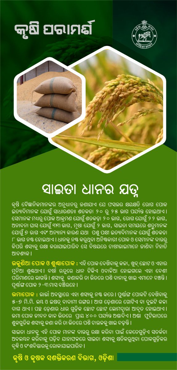 krushibibhag's tweet photo. #ଧାନକୁ ନଷ୍ଟ କରୁଥିବା ଅନିଷ୍ଟକାରୀ ପୋକ ଓ ସେମାନଙ୍କ ଦାଉରୁ ଶସ୍ୟକୁ ରକ୍ଷା କରିବା ନିମନ୍ତେ ପୁରୁଣା #ଧାନକୁ କାଢ଼ି ଆବଶ୍ୟକ ମୁତାବକ ମରାମତି, ପରିଷ୍କାର, ବିଶୋଧନ କରି ଶସ୍ୟକୁ ସାଇତି ରଖନ୍ତୁ | #ସାଇତା_ଘର ଓ ଏହା��� ନିକଟ ଅଞ୍ଚଳ ପରିଷ୍କାର ରଖନ୍ତୁ | https://t.co/OxYjQIJYWX