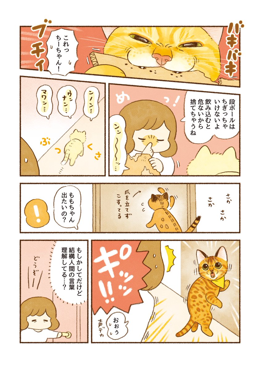 猫エッセイ
「お話しできるかな」 