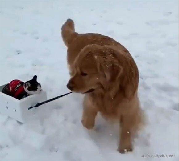 それにしても寒い・・・ 雪でも降るんじゃないか