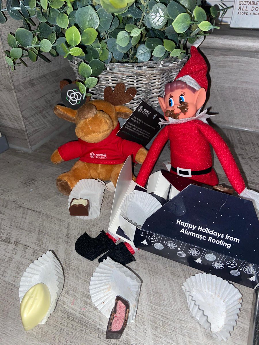 ❗DOUBLE TROUBLE❗ Alfie has a naughty little helper… and it looks like they enjoyed the chocolates 🍫 Happy 1st December everyone🎄 #christmas #christmasmarketing #ukconstruction #christmascountdown
