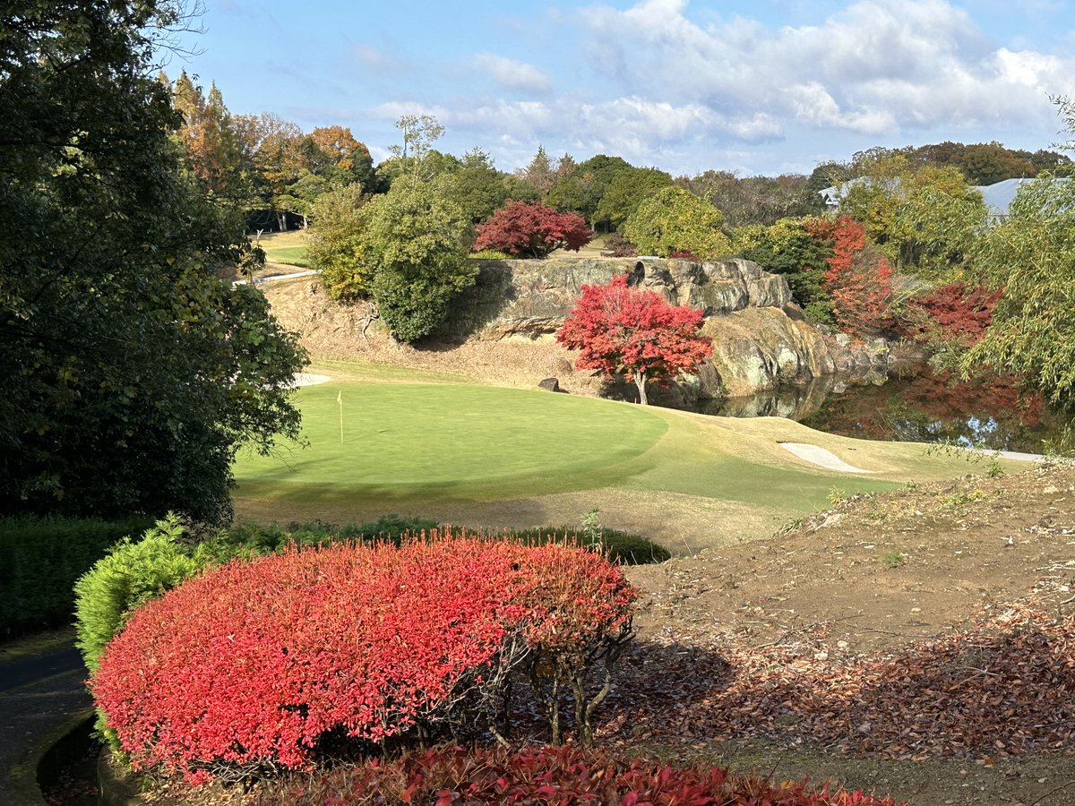 BB363672's tweet photo. 〖キャディ募集〗
兵庫県でお仕事を探している方、ぜひ当社で働きませんか‼️
学生の方、主婦の方、未経験の方大歓迎です❣️
1日約6時間程度の作業なので空いた時間に働けます✨
週1日からでも大丈夫です👌🏻✨

興味がある方はDMにご連絡ください☺️

#ゴルフ
#キャディ
#求人
#兵庫県
#バイト募集 https://t.co/FwCqfvM05F