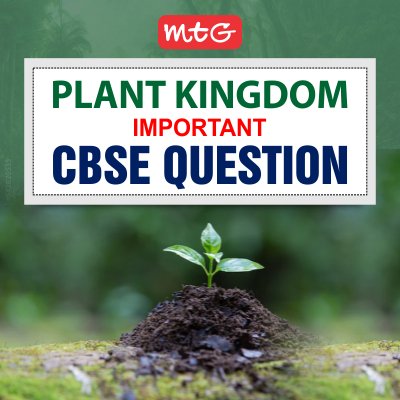 MTGBooks's tweet photo. Get access to important questions on #plantkingdom for #class11 exams 
Access it here- https://t.co/sVBezvUCOj
#neetpreparation #cbsepreparation #cbse #cbsenotes #neetandaiims #neetexam #neetug #neetbiology #neettipsandtricks  #notes #studynotes #biologynotes https://t.co/rJIBgjSDY8