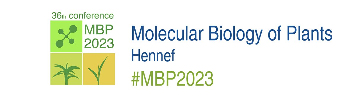 German Society for Plant Sciences (DBG) (@plantscidbg_en) on Twitter photo Please remind and RT:
📆Deadline to register for
#MBP2023, the Conference Molecular Biology of Plants of our Section <a href="/MolPlantSci/">SPPMB</a> in Hennef, Germany, will be this Sunday, December 4th!
Organized by <a href="/RedoxUBonn/">Andreas Meyer</a>, Ute Höcker and <a href="/RensingStefan/">Stefan A. Rensing</a>. #plantsci pflanzen-molekularbiologie.de/conference-mol… Please remind and RT:
📆Deadline to register for
#MBP2023, the Conference Molecular Biology of Plants of our Section <a href="/MolPlantSci/">SPPMB</a> in Hennef, Germany, will be this Sunday, December 4th!
Organized by <a href="/RedoxUBonn/">Andreas Meyer</a>, Ute Höcker and <a href="/RensingStefan/">Stefan A. Rensing</a>. #plantsci pflanzen-molekularbiologie.de/conference-mol…