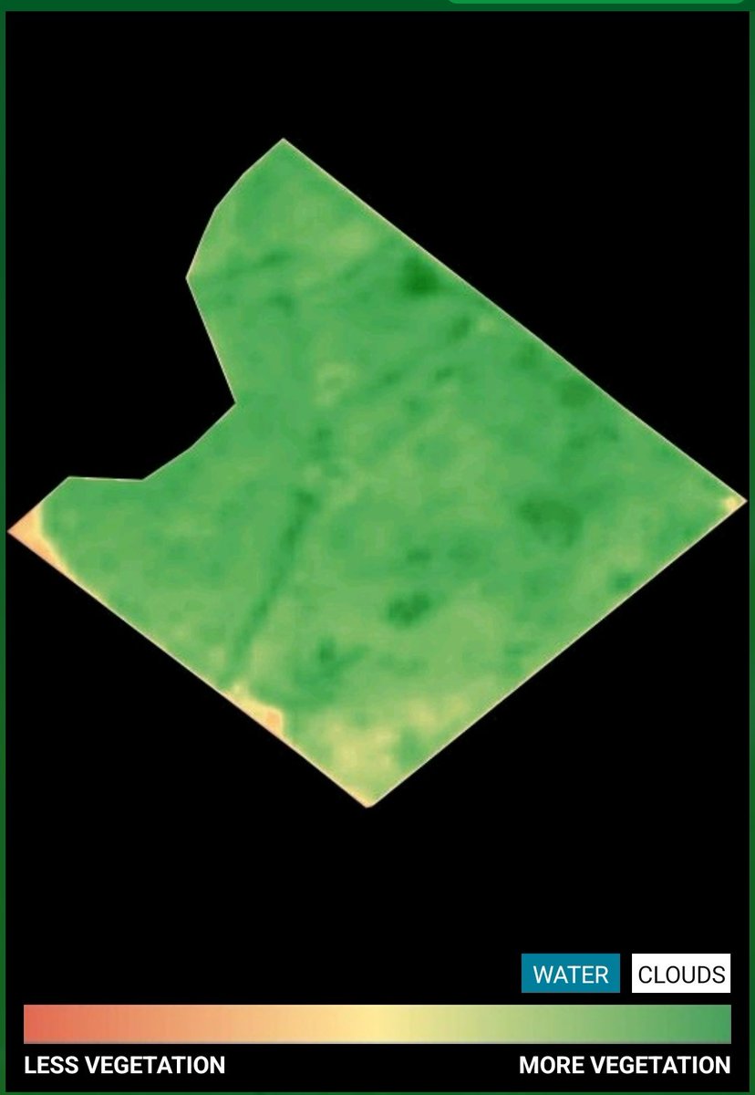 NicoBronzo's tweet photo. Trigo 22/23 #NDVI del 1/nov vs 24/nov
Nunca tanto contraste corner-pivot...

Las dos paraditas del riego marcadas como agujas de un reloj... no alcanzó?

El primer nutriente es el agua dice @DarioColombatto 💪

#pivotirrigation #campo https://t.co/0iz6RdU3l5