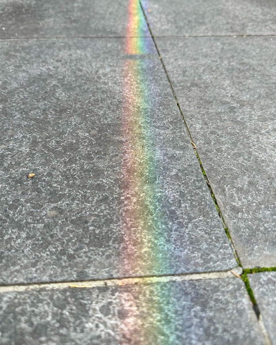 dailykimwoobin's tweet photo. 221130 kim woobin instagram update

"🌈"

#KimWooBin #김우빈 https://t.co/ExGKUD039h