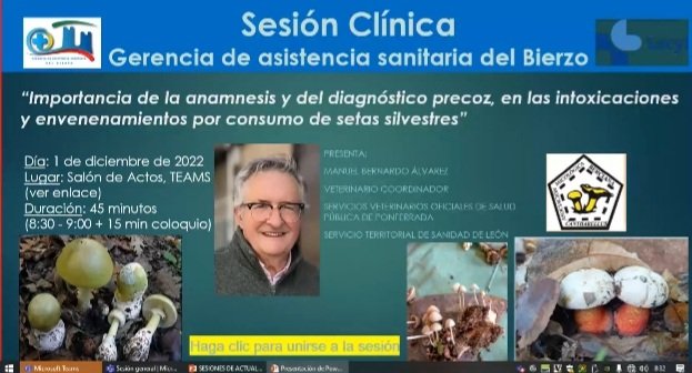 UrgenciasBierzo's tweet photo. Fantastica sesion general sobre envenenamiento por setas por @BeralvmaManuel presidente de @Cantharellus1 

Abro pequeño hilo con lo destacado

#HospitalElBierzo
@AEMMicologia @FAMCALoficial @SEMES_ https://t.co/3uZH49D989