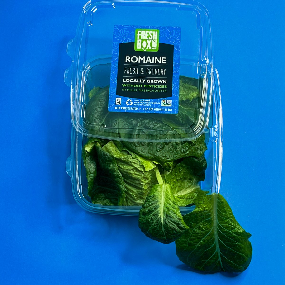 freshboxfarms's tweet photo. #DidYouKnow FreshBox Farms Romaine is rich in antioxidants and vitamins A & C? π #Delicious #Nutritious #HealthyEating #Salad #FreshFood #FreshBoxFarms #CropOne #Hydroponics https://t.co/ZKBhLIRlwK