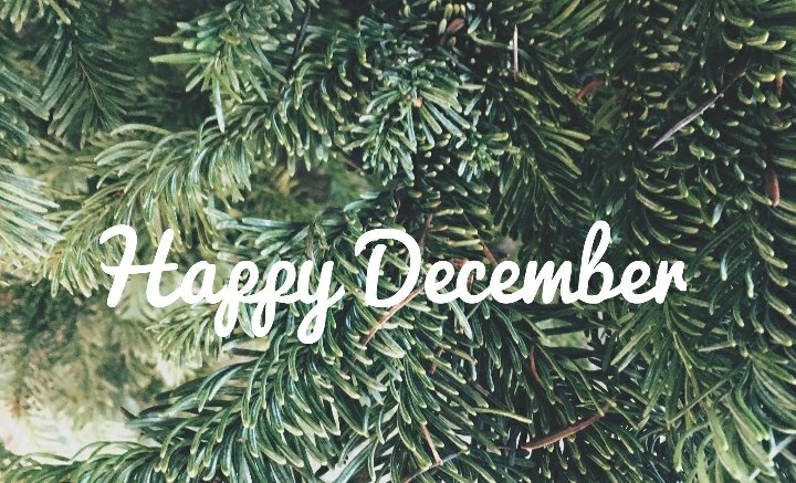 MakinzP's tweet photo. It's DECEMBER🌲🎅🧑‍🎄🌲

#MakinzFootballAcademy https://t.co/SI4Ni7vP0k