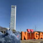 ツイートに含まれる画像