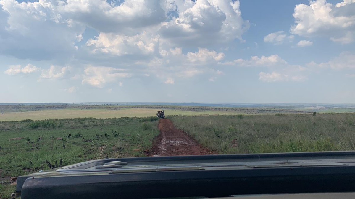 BeeConnected1's tweet photo. Bush views https://t.co/aL1JKBJHfw
