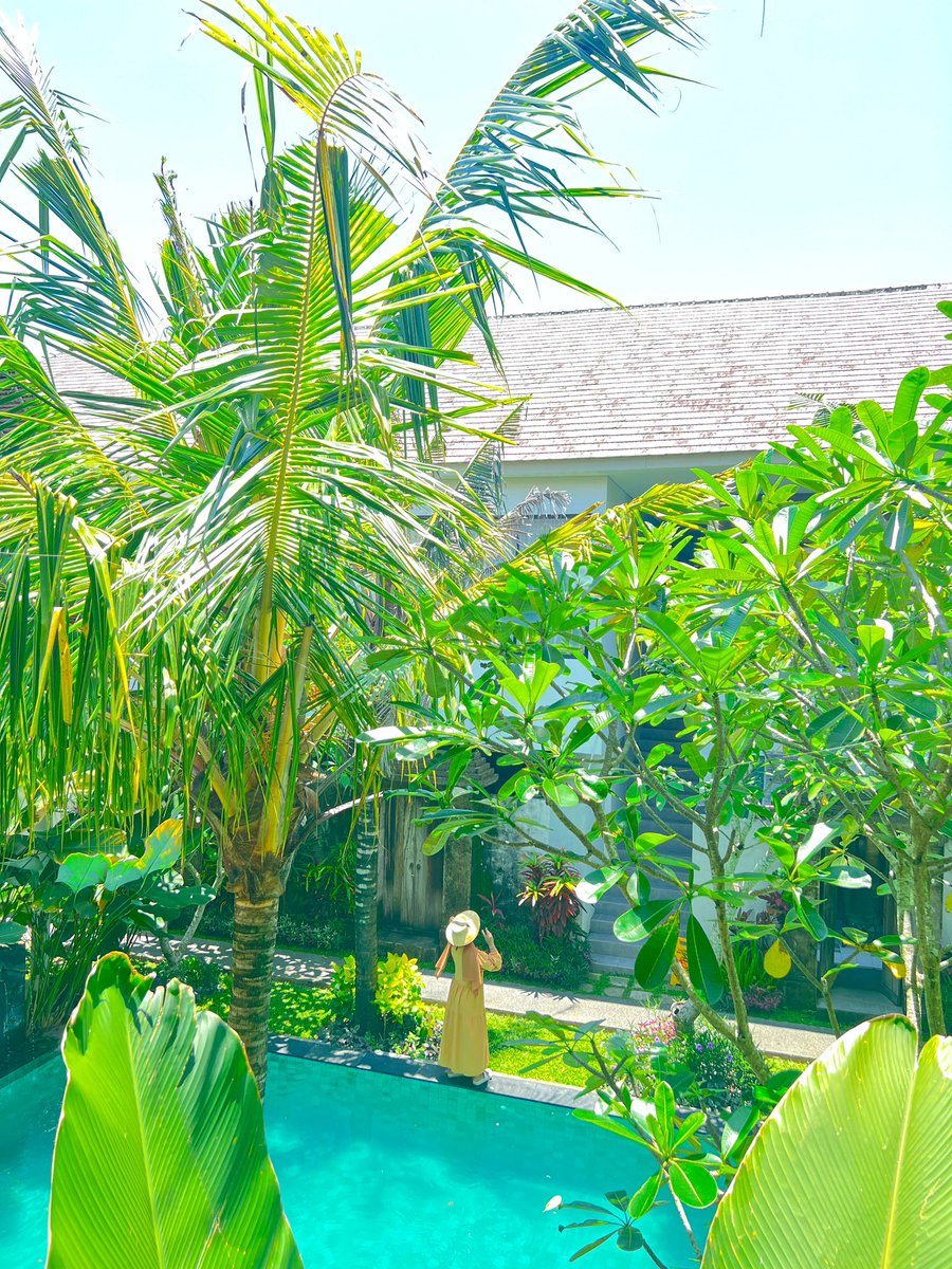 _doraredre's tweet photo. kata siapa di Bali hotel mahal2, nih aku nemu hotel ala sultan + bathtub/jacuzzi harga budget 300rb!

gilak, murah dan bagus banget ada yang dua lantai!

wajib rt, likes, karena mau share info kupon hotel bisa dipake dimanapun! 

cus cek link promonya -> https://t.co/5NeZ73xbCu https://t.co/LbCJd3dcW5