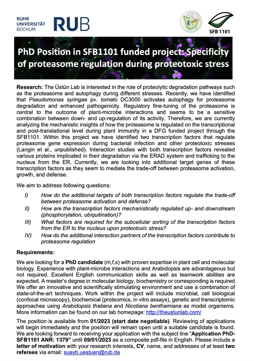 Please RT: We have a <a href="/sfb1101/">SFB1101</a> funded #PhD position available in #theustunlab from 01/2023 <a href="/ruhrunibochum/">Ruhr-Universität Bochum</a>. The SFB1101 project is about #proteostasis in the context of different proteotoxic stresses (theustunlab.com/projects/) #PlantSciJobs #PhDposition more details below 👇