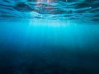 Thursday again, so welcome to another #BGCThursdayThread 

Did you know that apart from pollutants, we can find many different compounds from #marine #natural #products in the #ocean? 👀

Let's unroll the thread! 🧵⬇️