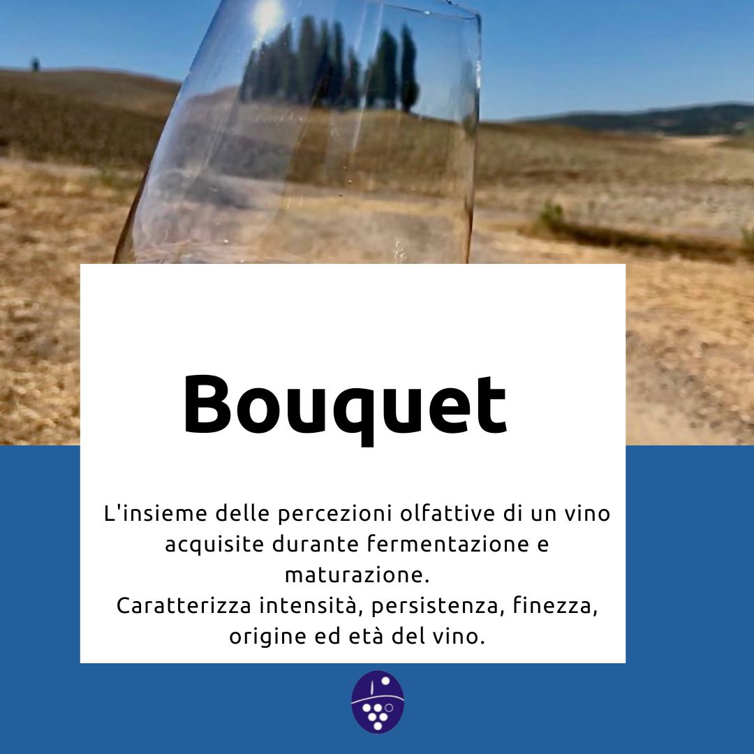 📜🍷 𝑮𝒍𝒐𝒔𝒔𝒂𝒓𝒊𝒐 𝑫𝒊𝑽𝒊𝒏𝒐 🍷📜
 #OrciaDoc
#vino
#winelover