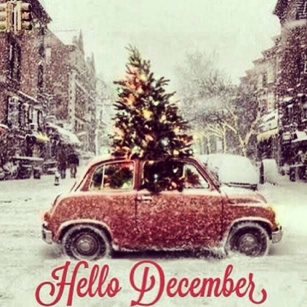 MrsColetteF's tweet photo. And so it begins! Merry December everyone 🎄🎅❄️🎁🥂💝🥳🎅🎄 https://t.co/04sCHAkOqI