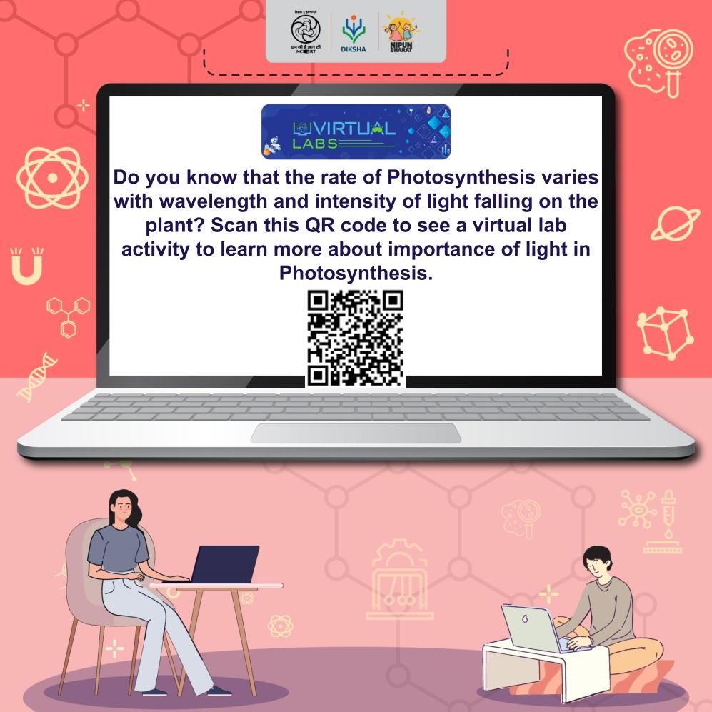 Do you know that the rate of Photosynthesis varies with wavelength and intensity of light falling on the plant?

Scan this QR code or click on the link to see a virtual lab activity to learn more about importance of light in Photosynthesis.
diksha.gov.in/play/collectio…