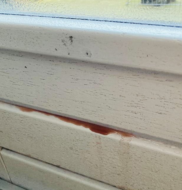 Steven Straatemans tweet media