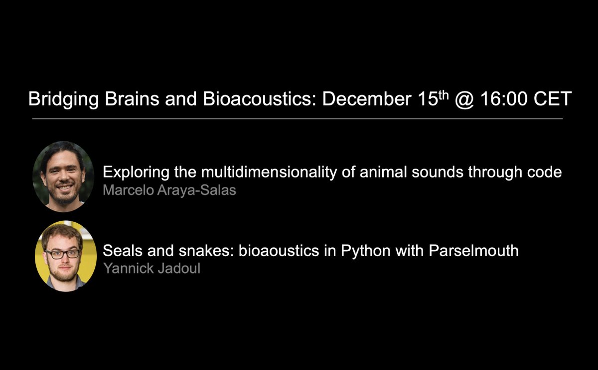 Bridging Brains and Bioacoustics tweet media