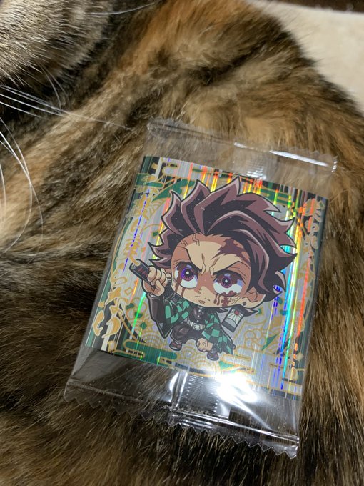 レアな方のTANJIROヾ(:3ノシヾ)ノシ 