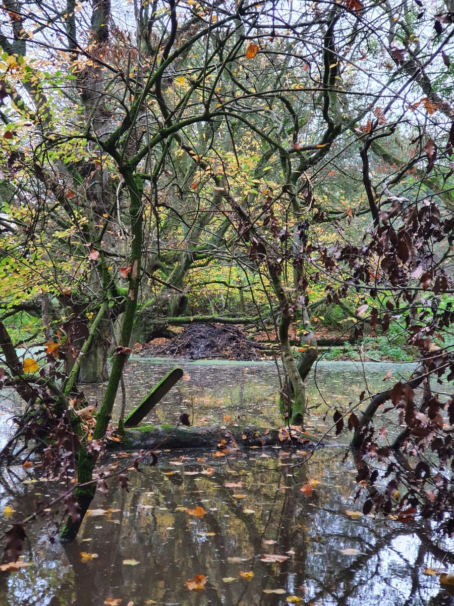 Norfolk Rivers Trust tweet media