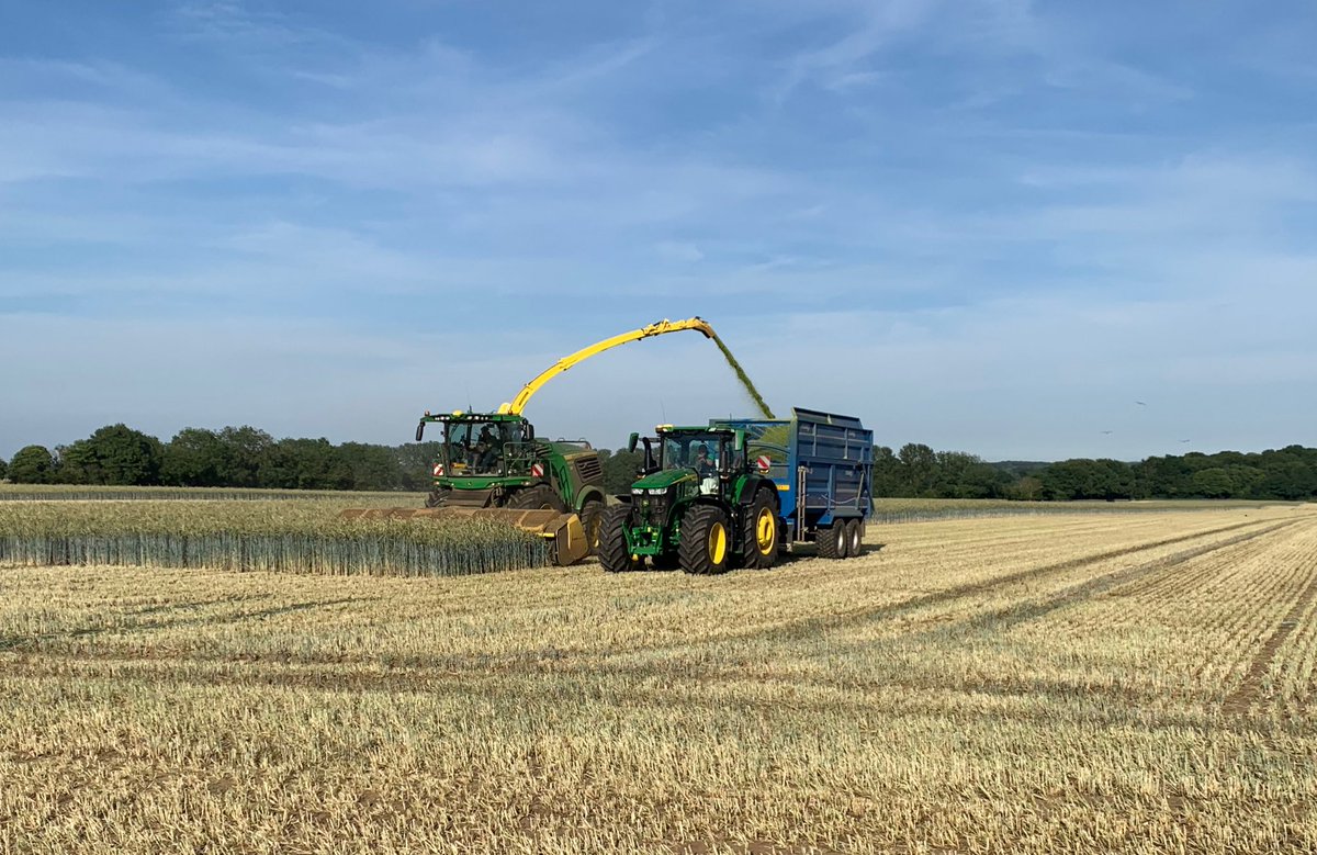 Saaten Union UK (@saatenuk) on Twitter photo Once again #HybridRye from <a href="/SaatenUk/">Saaten Union UK</a> shows excellent results on the new <a href="/AHDB_Cereals/">AHDB Cereals</a> Descriptive List. For more information on these varieties, how to get the best from them and how they performed for #biogas production then please get in touch. <a href="/JackHolgate18/">Jack Holgate</a> <a href="/Elsomsseeds/">Elsoms Seeds</a> Once again #HybridRye from <a href="/SaatenUk/">Saaten Union UK</a> shows excellent results on the new <a href="/AHDB_Cereals/">AHDB Cereals</a> Descriptive List. For more information on these varieties, how to get the best from them and how they performed for #biogas production then please get in touch. <a href="/JackHolgate18/">Jack Holgate</a> <a href="/Elsomsseeds/">Elsoms Seeds</a>
