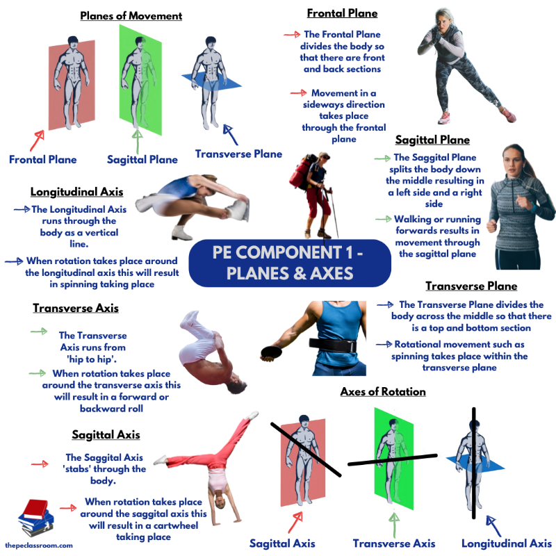 peclassroom's tweet photo. PE Teachers - Click below for free Cheat Sheets for GCSE, BTEC and CNATs!