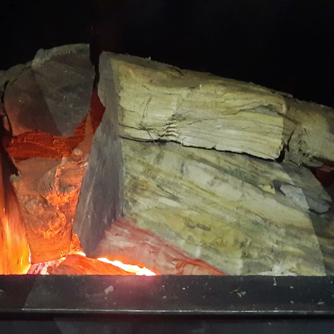 Part of our daily routine to keep our <a href="/WindhagerUK/">WindhagerUK</a> logboiler topped up. She heats the farmhouse,office &amp; provides all our hot water, plus the hot water in the Butchery.We're v grateful for her renewable heat on chilly mornings#logsfromthefarm #renewableenergy #sustainablefarming