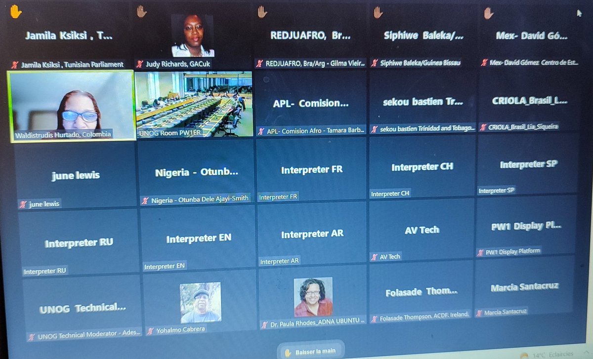 Ma participation a la reunion Des experts de la décennie internationale des personnes d'ascendance africaine.