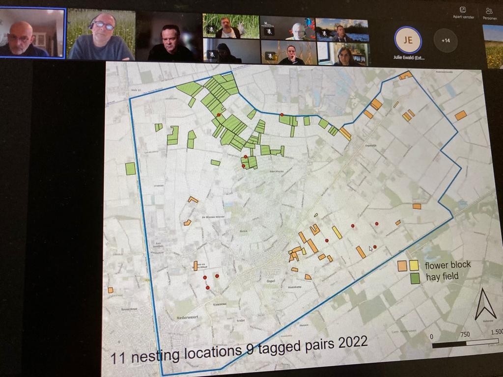 Willem Maris vertelt het internationale @PARTRIDGE_NSR team over het Patrijzenproject in Ospel (Li). Een interessante discussie over nestplaatskeuze volgt. In NL meestal in wegbermen, perceelsranden en slootkantjes. Maaien en verstoring is voor hennetjes een groot probleem.