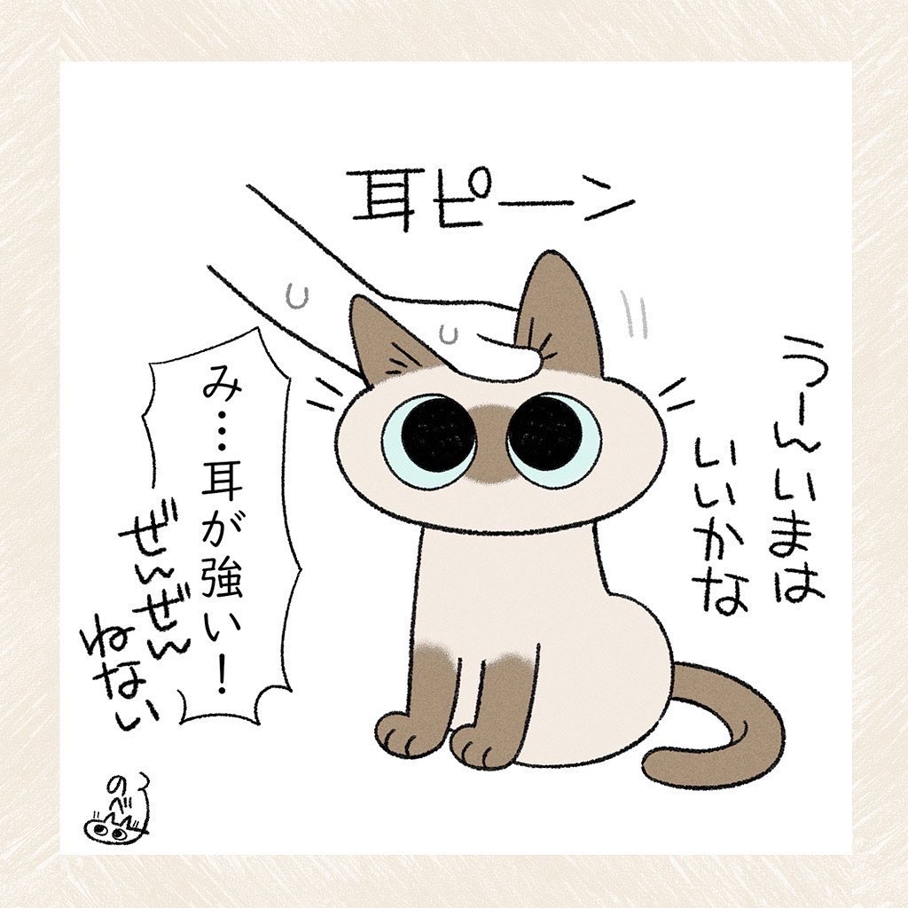 #インスタにも上げてみた
 #猫の居る暮らし #猫部  #siamesecat #シャム猫 #漫画が読めるハッシュタグ #エッセイ #まんが #ねこのいる生活 #猫まんが #シャム猫あずきさんは世界の中心  #コミックエッセイ #インスタ漫画 #エッセイ漫画

https://t.co/TBmZjFXWoC 