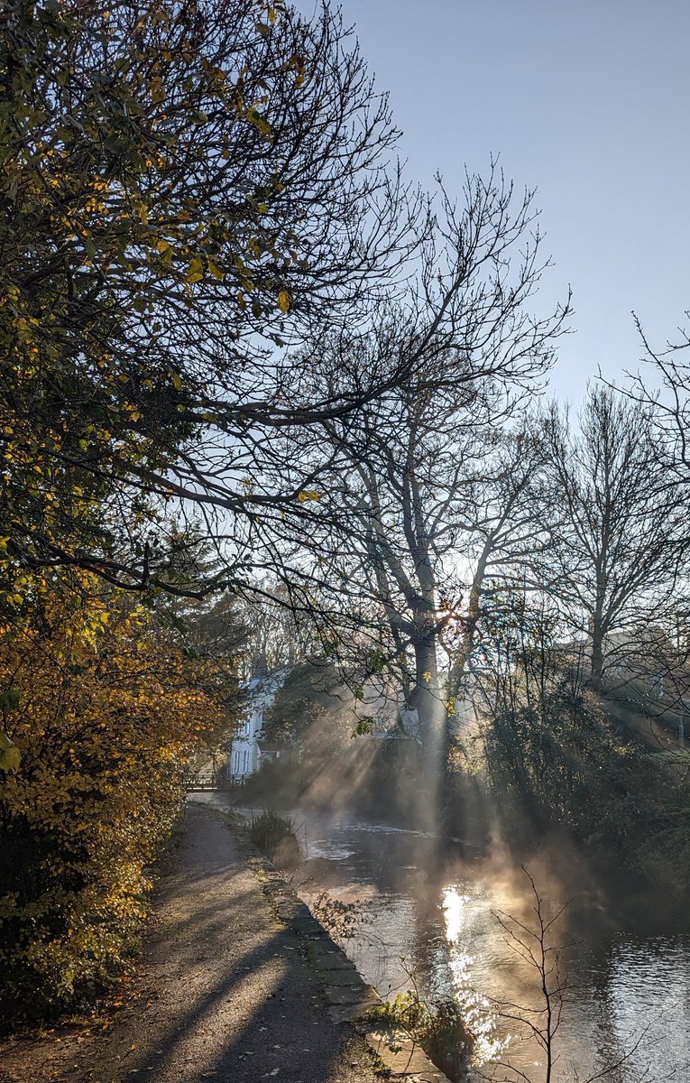 "In the company of flowers we know happiness. In the company of trees we are able to think, they foster meditation." 
John Stewart Collis

📷 Dorchester's Millstream this morning as we celebrate #NationalTreeWeek in Dorset.
<a href="/TiCLme/">TiCL (NO to a blue tick)</a> <a href="/tansyleemoir/">Tansy Lee Moir</a> <a href="/mathilebrandts/">mathile</a> <a href="/GreenDorset/">Green Dorset</a>