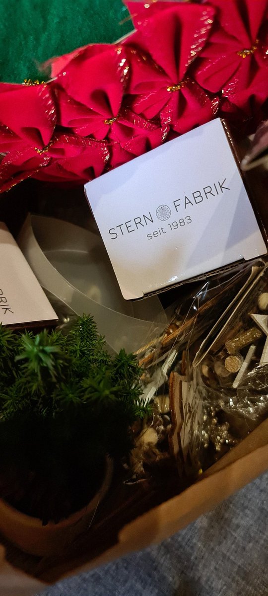 Rabenkynd's tweet photo. Ich mag Weihnachten nicht.. Aber lasst mich bloß nicht in die Nähe von Weihnachtsdeko kommen 🫥🛒💸💸💸 https://t.co/V1m1LDoxTL