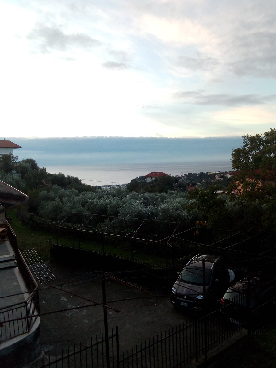 Good Morning Twitter dal nido del Corvo